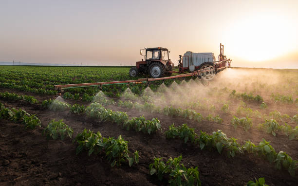 Best Commercial Pest Control Services  in Landing, NJ